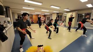 Slow Motion Lion Dance Head Practice 🦁✨