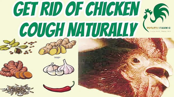 5 Natural Herbs to CURE Cough in Chickens