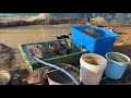 KamiyaHang Jp || Vịt Thả Vườn Tại Nhật