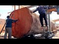 The worlds largest wood factory  how will you process this giant tree