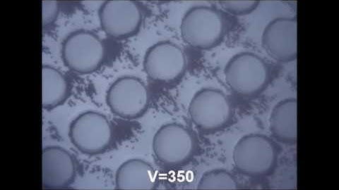 A new approach for direct-current insulator-based dielectrophoretic trapping - Mahdi Mohammadi