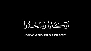 القرآن الكريم | يا ايها الذين آمنوا اركعوا واسجدوا شاشة سوداء🕊️🤍