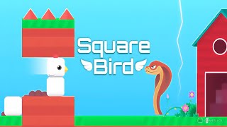 Square Bird Gameplay