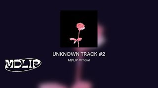 UNKNOWN TRACK #2