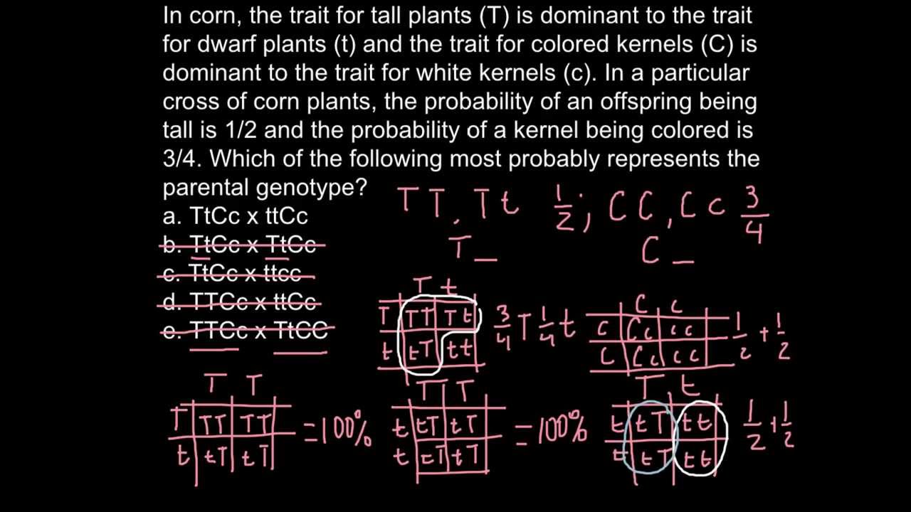 genetics problems can be solved by using ____ logical steps