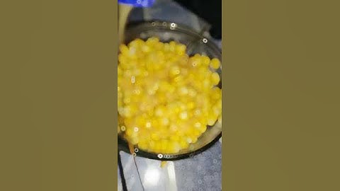 Vidio praktek bahasa Inggris tutor buat jasuke