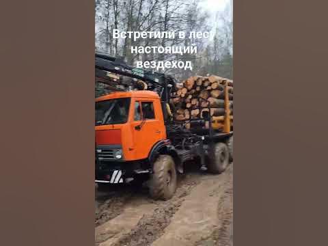 Встретили в лесу настоящий вездеход #камаз #kamaz #внедорожник #offroad ...