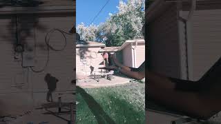 Squirrels In My Pants