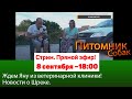 СТРИМ [8 сентября ~18:00]. Ждем Яну и Шрека из клиники с новостями.