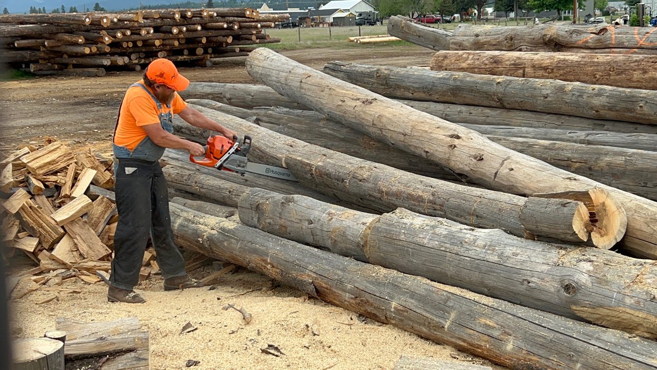 New Husqvarna Power Equipment 372 XP X-TORQ Power head, Ooltewah TN | Specs, Price, Photos | Orange