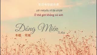[Vietsub   Pinyin   Lyrics] 冬眠 - 司南 | ĐÔNG MIÊN - TƯ NAM
