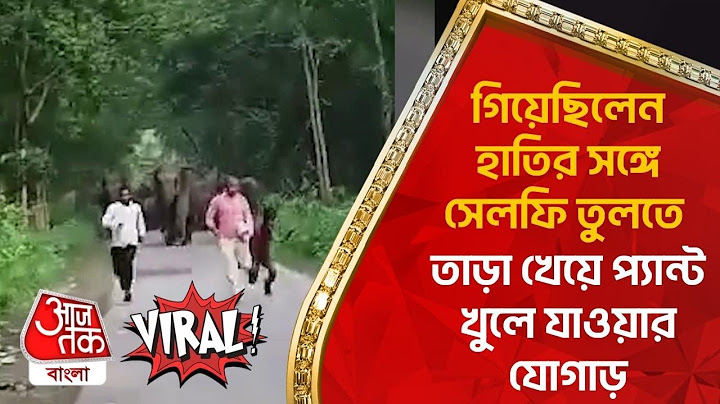 গিয়েছিলেন হাতির সঙ্গে সেলফি তুলতে, তাড়া খেয়ে প্যান্ট খুলে যাওয়ার যোগাড় | UP Elephant Attack