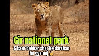Gir National park | jungle Safari | Lion safari | Sasan Gir | GUJARAT @Travelwithmodyguy