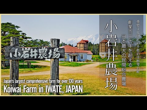 【岩手／観光名所】小岩井農場／創業百三十年を超える日本最大の民間総合農場 - Koiwai Farm in IWATE, JAPAN -