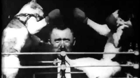 EPHEMERA - Stormen, We´ll find comfort in the waves (official music video)