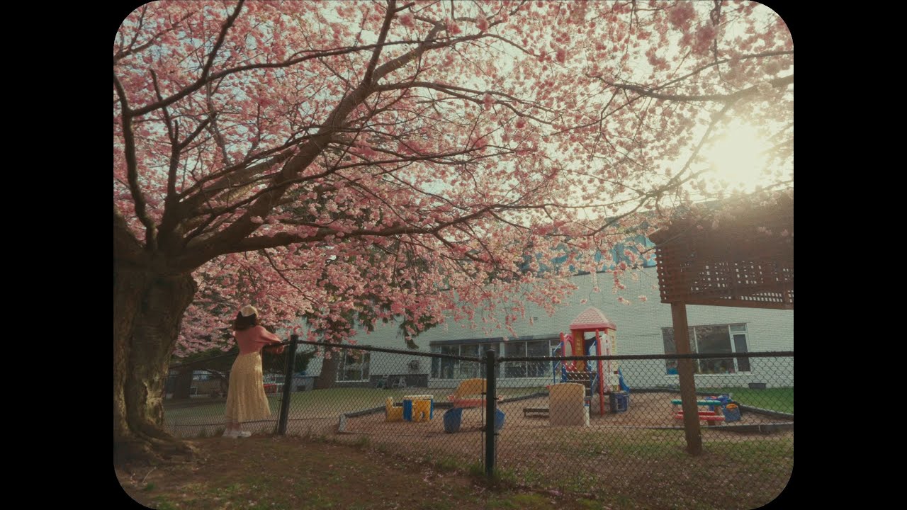 Cherry Blossoms at Japanese Canadian Cultural Centre | ZVE1 4K Cinematic Vlog