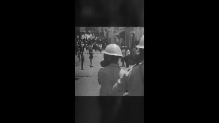 Nasanieru - CIDONCID