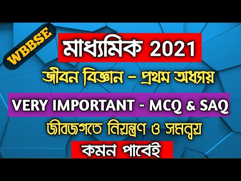 ভিডিও: পিটার ভ্যান দানের আসল নাম কি?