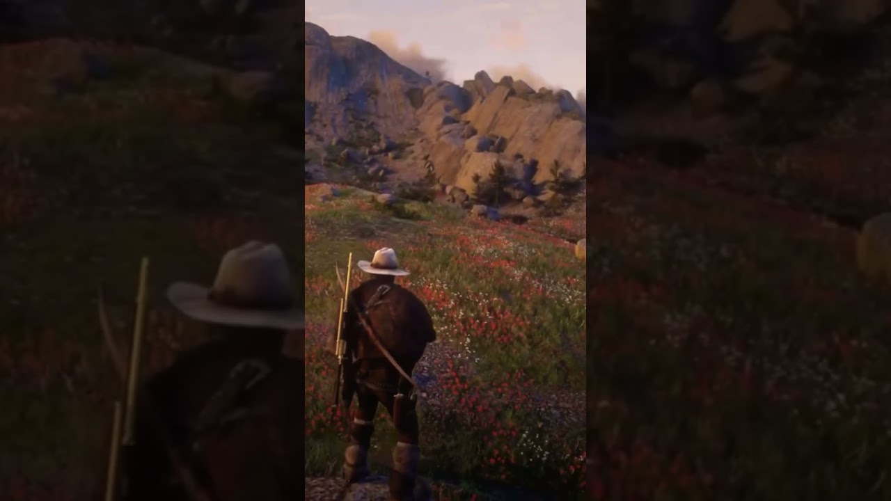 lonely wolf gets lucky when a dumb horse runs right into a rock, cowboy for dinner  