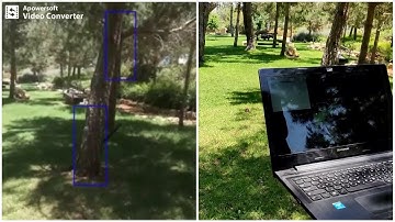 Tello drone autonomous tree evasion