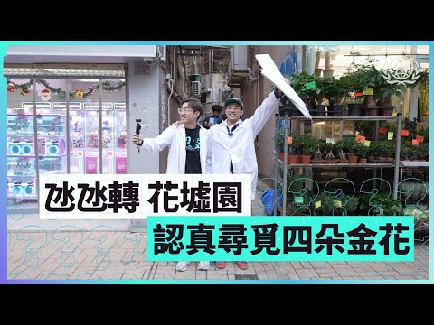 #世認 搵車位泊咪錶要幾多分鐘?｜挑戰窄巷二人三足｜花墟公園捉伊因｜世界認真組織World Serious Organization