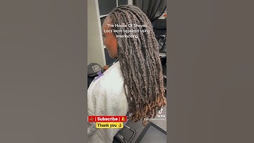 I repaired my clients #Locs using the #interlocking method | The House of Shayaa | THOS Haircare