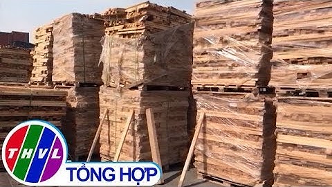 Tiếp tục phát hiện hơn 111 container gỗ xuất lậu trốn thuế tại TP.HCM