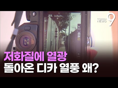 &amp;quot;중고차 값인데도 품귀&amp;quot;…&amp;#39;레트로 감성&amp;#39; 디카의 부활