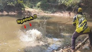 Niat mancing baung !! Di kira nyangkut kayu ternyata buaya 😱😱