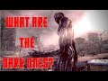 Are the Dark Ones HYPER ADVANCED EVOLVED humans? Metro 2033, Last Light, and Metro Exodus Lore 2018