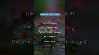 The word"Father" in 5 languages 🌊✨ #languages#tamil #telugu #malayalam #hindi #arabic