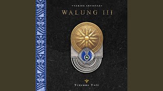 Mushrooms in the Jungle