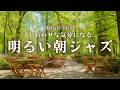 【春カフェBGM】しあわせな気分になる明るい朝ジャズ｜心地よく一日を始めるカフェBGM – Forest Morning Café – Happy Jazz for a New Day