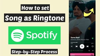 Set Spotify Song As Ringtone | Spotify Song as Ringtone Android/iOS |Download Spotify songs to phone screenshot 3