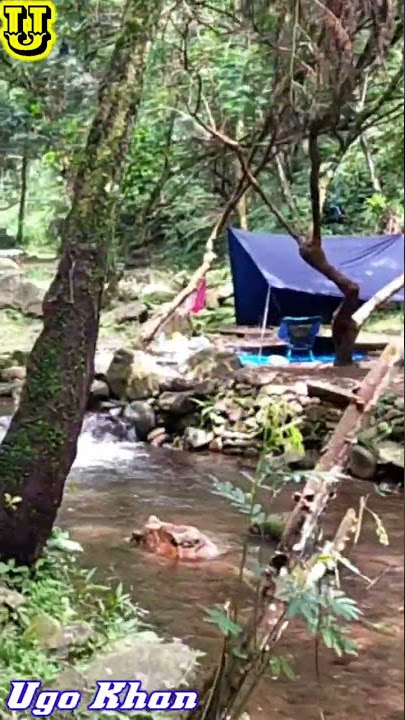 Camping At Riverside || Berkemah ditepi Sungai #SHORTS