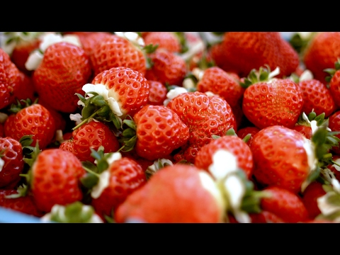 #მევქმნი | აგროგარეჯი