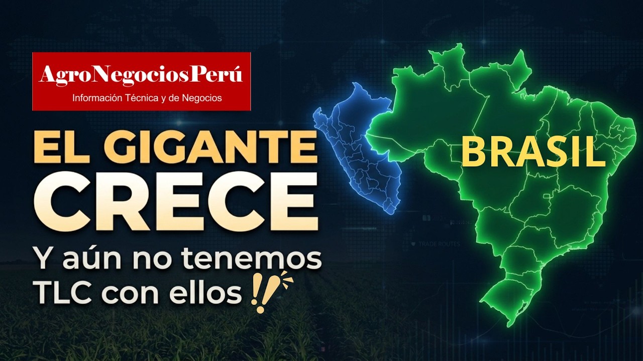 Puertos abren a Perú la oportunidad de tener a Brasil como gran socio estratégico pero falta el  TLC