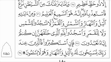 قراءة من سورة فصلت من الآية 30 حتى الآية 44