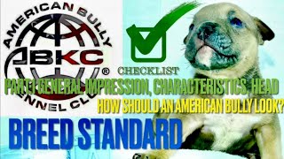 ABKC Breed Standard Pt 1 | How Should An American Bully Look? | Description Appearance Conformation