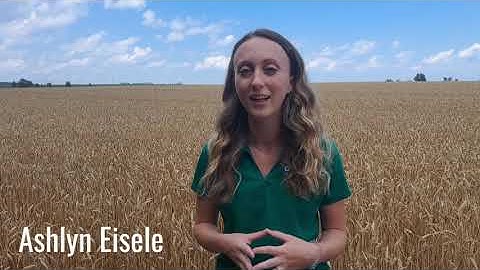 BASF Internship Capstone