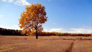 Download Lagu Obi - Somewhere nicer MP3