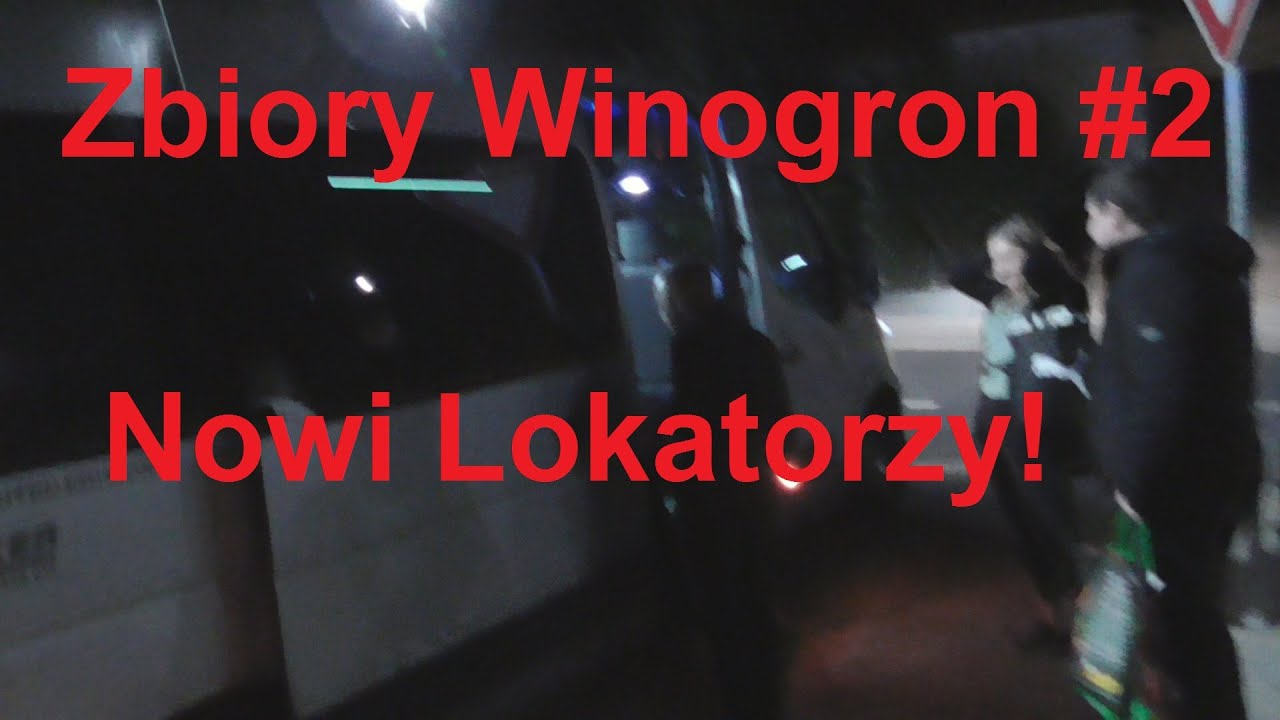 Zbiór winogron w Niemczech Vlog CZ.2 #2021