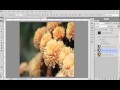 Blending Mode Tutorial: Soften Photo
