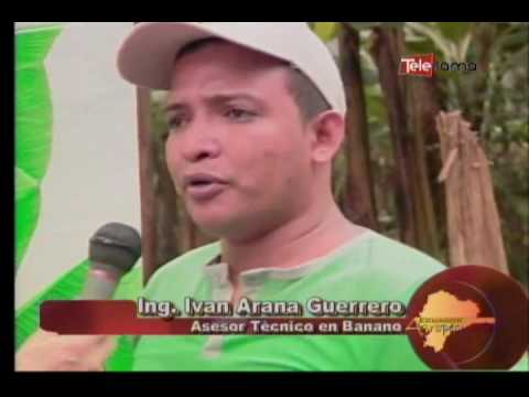 Ecuador Agropecuario 15 09 2016