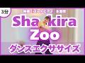 【Zoo/Shakira】本家風ダンスエクササイズ♪【ズートピア2主題歌】〈DanceExercise〉