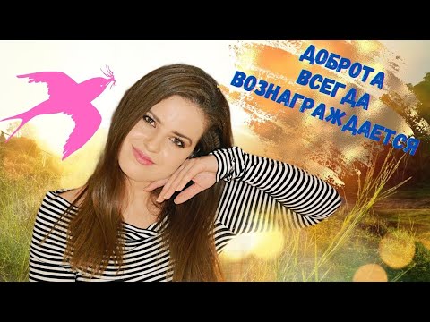 Корейская сказка ласточка мультфильм