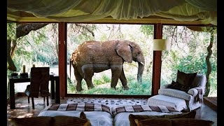 Sanctuary Makanyane Safari Lodge