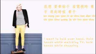 [ENG/PINYIN/CHN] 방탄소년단 BTS Boy in Luv Chinese Version Lyrics