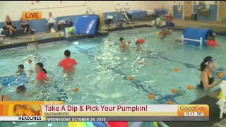 Floating Pumpkin Patch - Little Whale Swim School