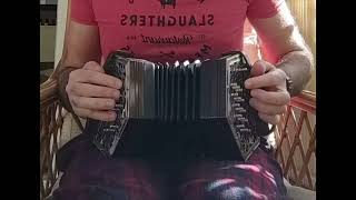 Summon the Megalodon - Sea of Thieves - Robin Beanland - Anglo Concertina